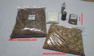 تربية شينشيلا SZYLEX، الغذاء، الأعلاف، الأقفاص، شنشيلا في بولندا 11